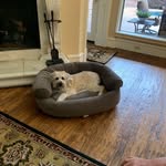 Lois Blanchard Farkas - @blanchardfarkas - Instagram