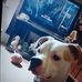 Lois Blevins - Facebook