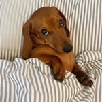 @lois.bones10976 - Instagram