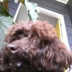 Lois Boyce - @loisboyce - Instagram