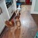 Lois Boyce - Facebook