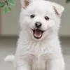 Lois Brennan - @lois.brennan3 - TikTok