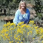 Lois Klewer Brenner - @lois.brenner - Instagram