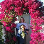 Lois Brewster - @loisbrewster - Instagram