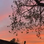 Lois Bridges - @loisbridges80 - Instagram