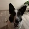 Lois Bridges - @lois.bridges8 - TikTok