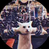 Loiscall - @loiscall_ - TikTok