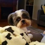 Lois Cantrell - @loiscantrell - Instagram