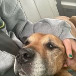 Lois cash - @sk8ter_girl2276 - Instagram