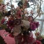 Lois Castleberry - @castleberrylois - Instagram