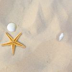 Lois Cates Ellis - @loiscatesellis - Instagram