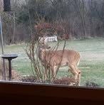 Lois Colvin - Facebook