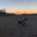 Cory Louis - Facebook