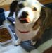 Lois Couch - Facebook