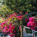 Lois Crews - Facebook