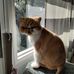 Lois Croft - Facebook