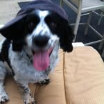 Lois Kriner Crowley - @lois.crowley.77 - Instagram