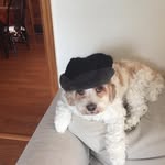 Lois Crowley - @loisjerseygirl - Instagram