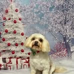 Lois Cutts - Facebook