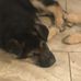 Lois Darling - Facebook