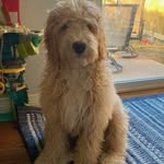 Lois Denney - @loisdenney83 - Instagram