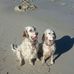 Lois Denny - Facebook