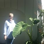 Lois Dillon Williams - @lois.williams90 - Instagram