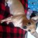 Lois Dukes - Facebook