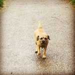 Lois Edge - @123_edge_dog_456_priv - Instagram