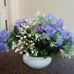Lois Edmiston - Facebook