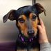 Lois Edmonds - Facebook