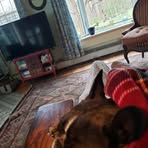 Lois Engel - Facebook