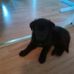 Lois Ferrell - Facebook