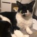 Lois Fitzpatrick - Facebook