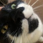 Lois - @lois.fitzpatrick - Instagram