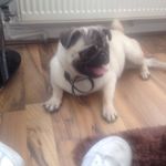 Loisfitzpatrick - @loisfitzpatrick4096 - Instagram