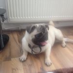 Loisfitzpatrick - @loisfitzpatrick4806 - Instagram