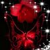 Lois Ford - Facebook