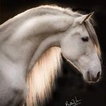 Lois Ford - @lois.apac - Instagram