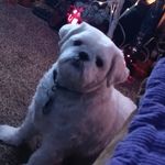 Lois Ford - @creamofsoul1 - Instagram