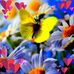 Lois Frank - Facebook