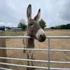 Lois Franklin - @secret.priv.67 - TikTok