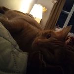 Lois Garrison - @lois.garrison.583 - Instagram