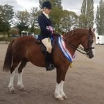 Lois getty - @lg.equestriann_ - Instagram