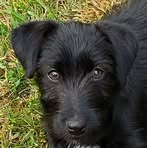 Lois Griggs - Facebook
