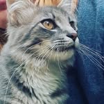 Lois_Grimes - @loisgrimes5272527 - Instagram