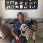 Lois Groth - @loisgroth - Instagram
