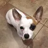 GgramLois - @loisahanson - TikTok