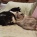 Lois Harrell - Facebook