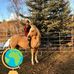 Lois Hein - Facebook